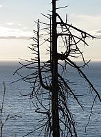 201509OlympicPeninsula 046