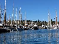 201509OlympicPeninsula 088