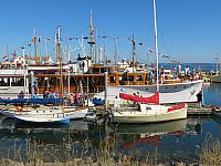 201509OlympicPeninsula 104