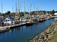 201509OlympicPeninsula 112