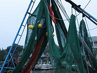 201511 Trip 175