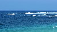 IMG 4087