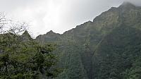 IMG 4116