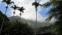 IMG 4123
