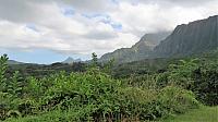 IMG 4135