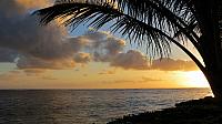 IMG 4196