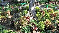 IMG 4239