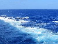 IMG 5153 (2)
