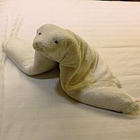 IMG 4827