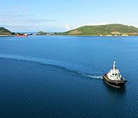IMG 4851
