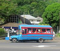 IMG 4979 (2)