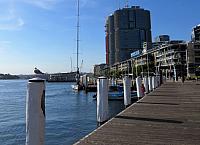 IMG 4483
