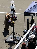IMG 5443