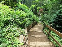 IMG 5550