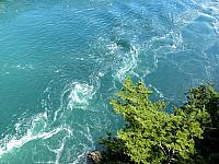 IMG 5655