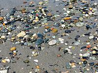 IMG 5680