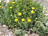 IMG 5747