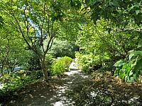 201608 - Bellevue Botanical Garden