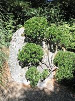 IMG 5982