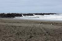 IMG 6022