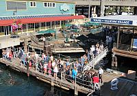 IMG 6093