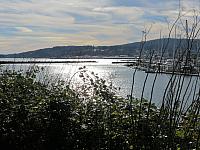 IMG 6169