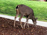 IMG 6174