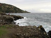 IMG 6224