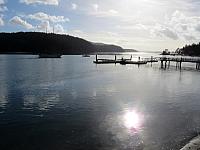 IMG 6317