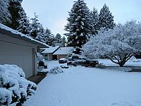 201701 - January 2017