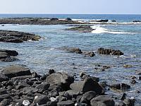 IMG 6559