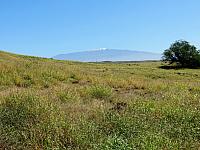 IMG 6919
