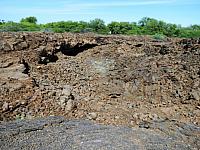 IMG 6969