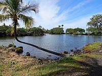 IMG 6973