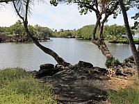 IMG 6974