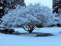 IMG 6370