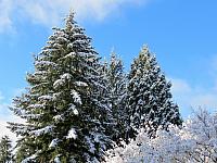 IMG 6379