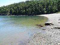 IMG 7423