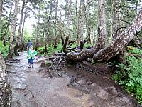 IMG 7686