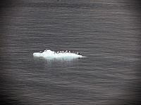 IMG 7728