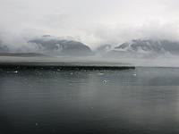 IMG 7736