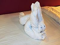 IMG 7672