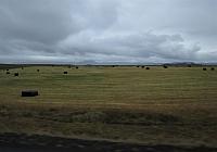 IMG 9070