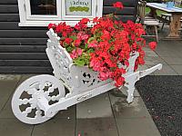 IMG 9152