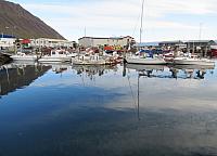IMG 9201