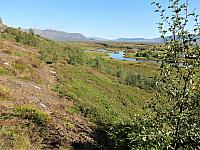 IMG 9298