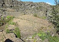IMG 9299