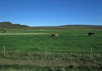 IMG 9381