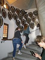 IMG 8571