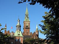 IMG 8789